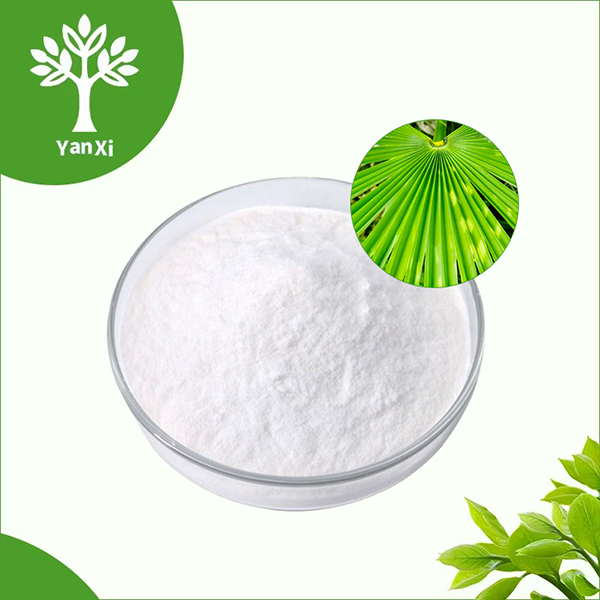 Saw Palmetto Extract Powder Saw Palmetto Extract Powder